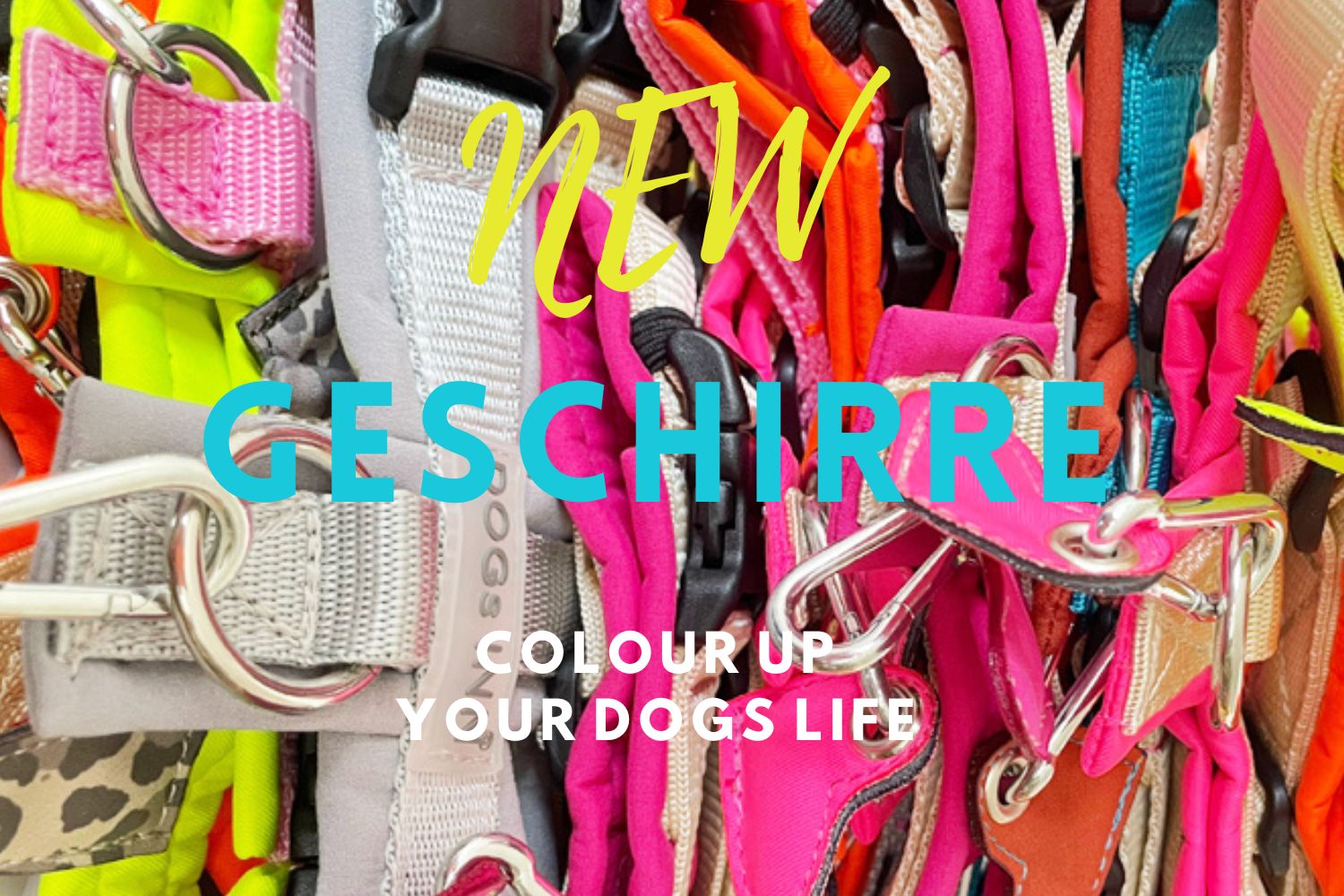 HUNDEGESCHIRR